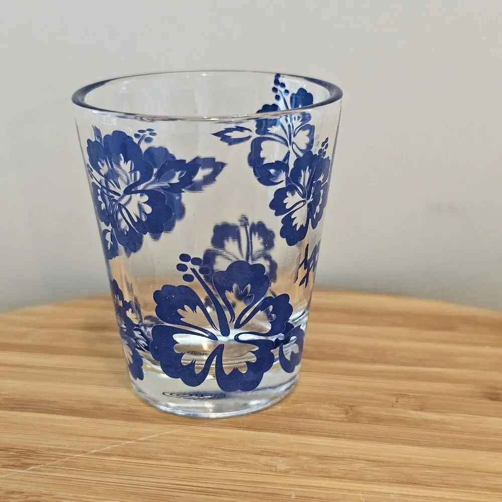 5 Shot Glasses, Rome, Belize, Floral, Florida, Dumb One ;)